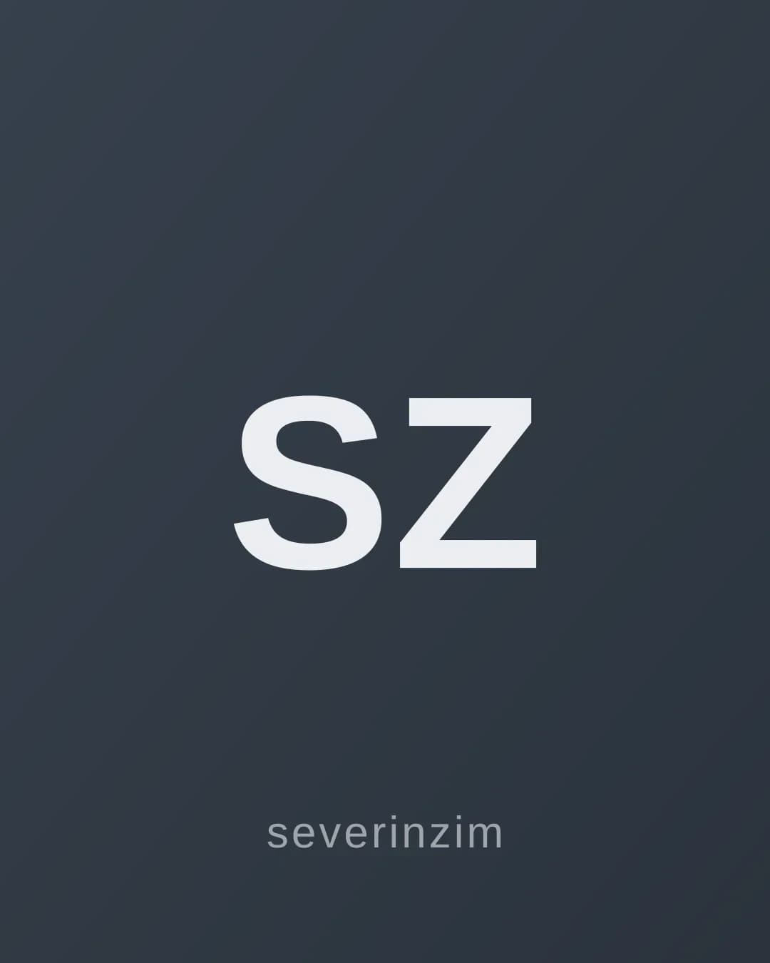 Severin Zimmermann — Arbeitsprobe 1